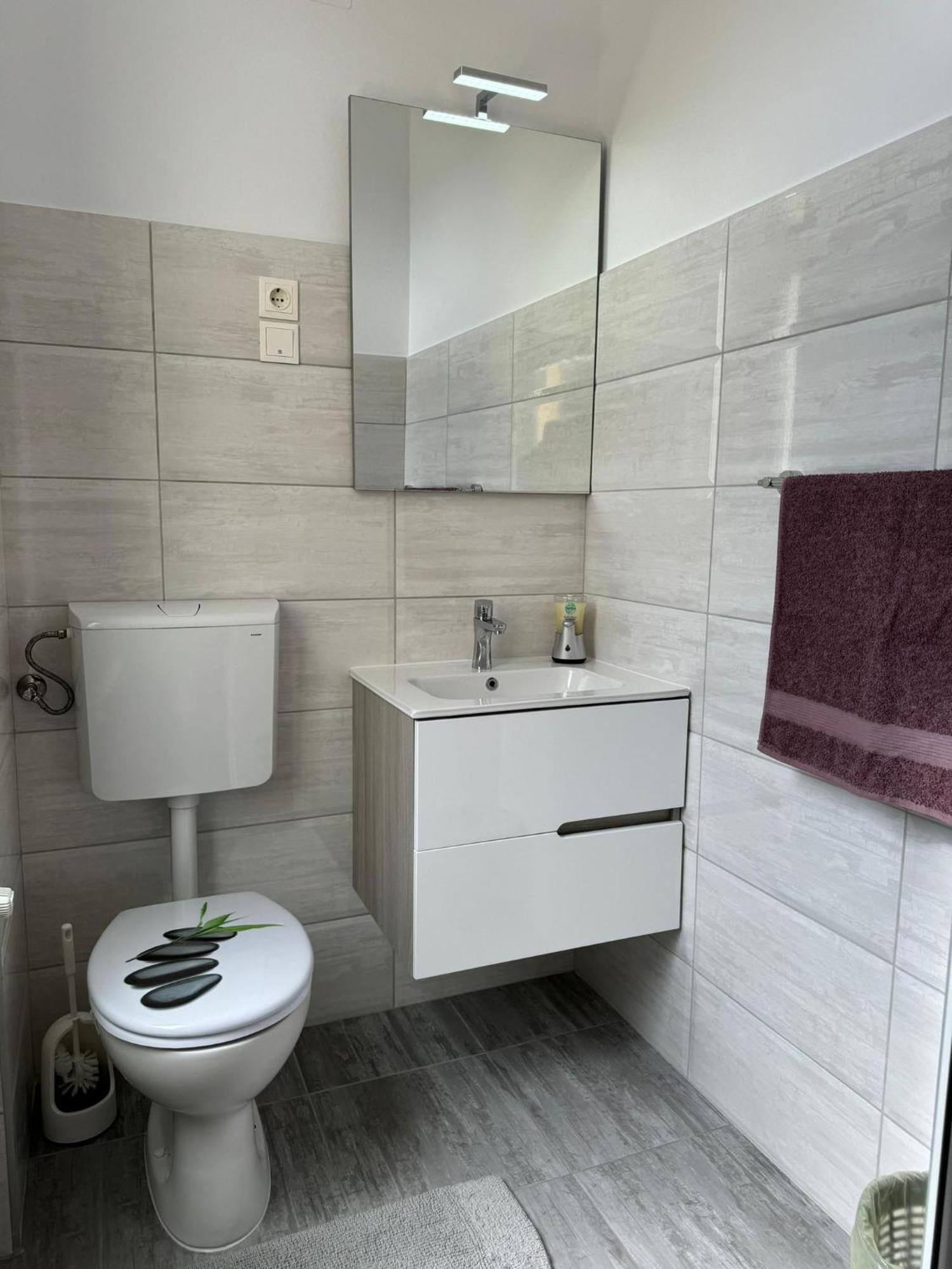 Apartament Victoria Тимишоара Екстериор снимка
