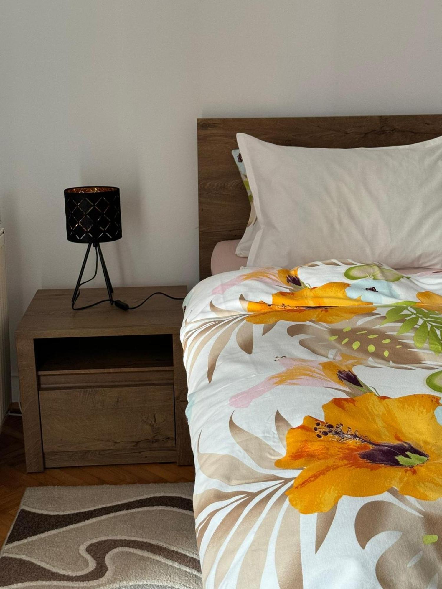 Apartament Victoria Тимишоара Екстериор снимка