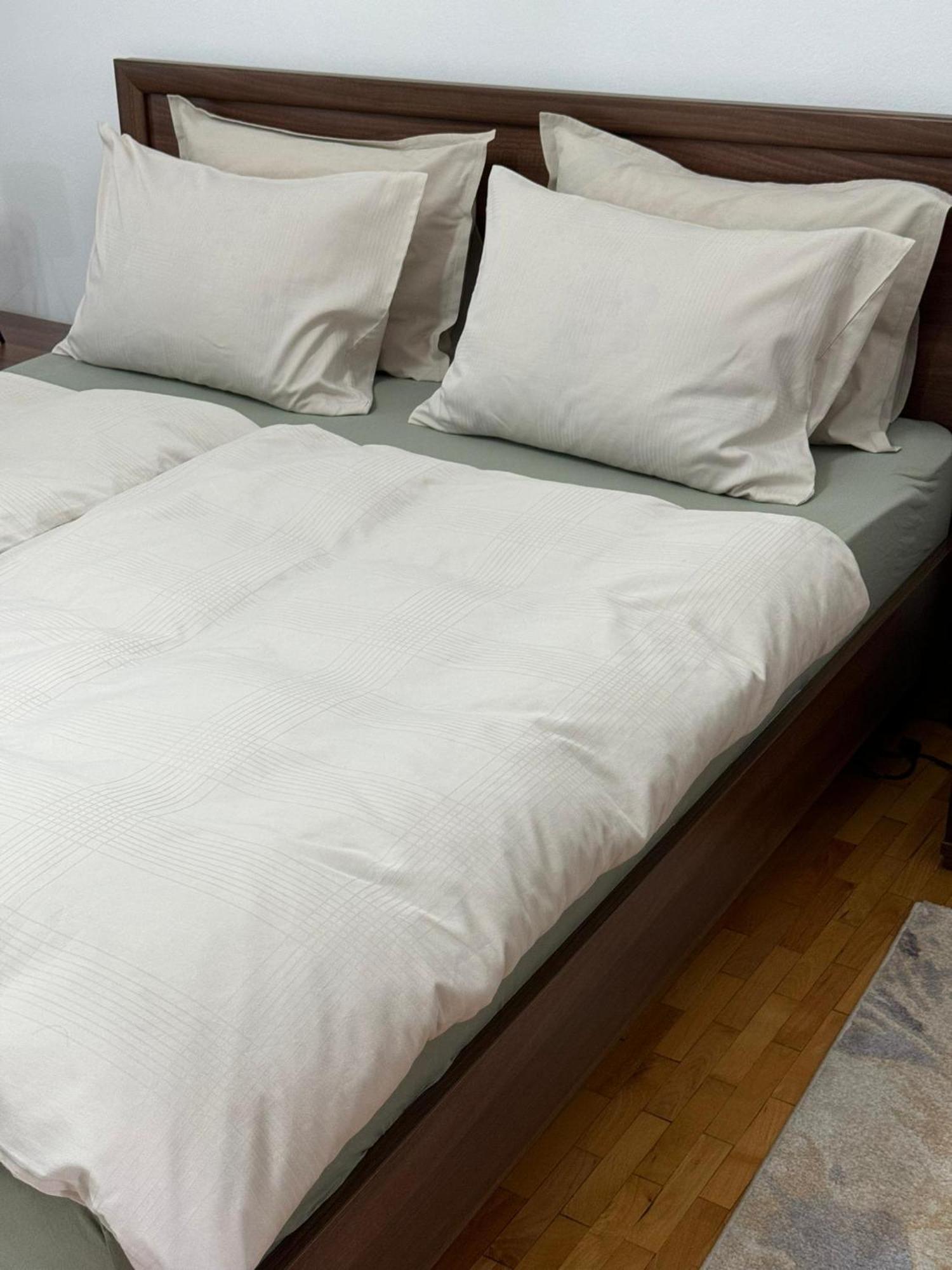 Apartament Victoria Тимишоара Екстериор снимка